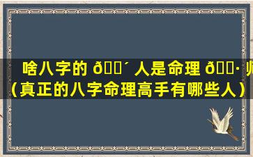 啥八字的 🌴 人是命理 🌷 师（真正的八字命理高手有哪些人）